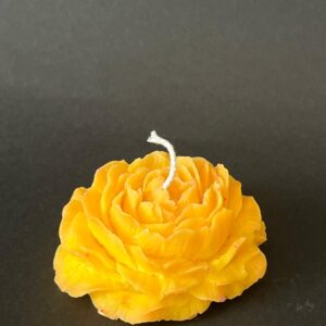 Rose Peony