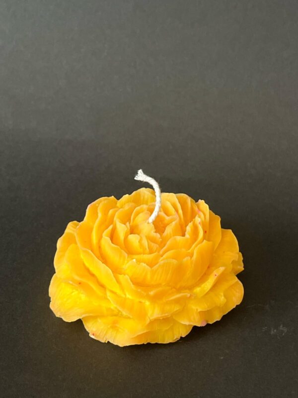 Rose Peony