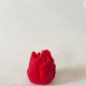 Tulip Candle